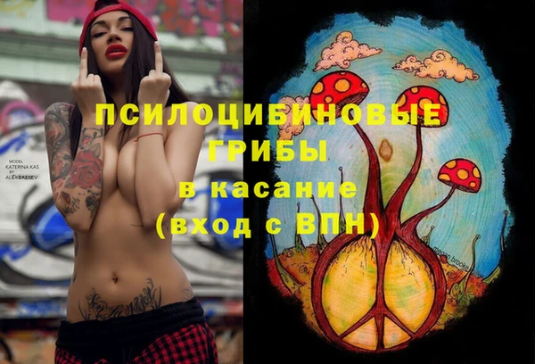 мяу мяу мука Алексеевка