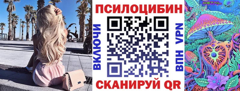 Купить закладки  Черняховск  Псилоцибиновые грибы MAGIC MUSHROOMS 